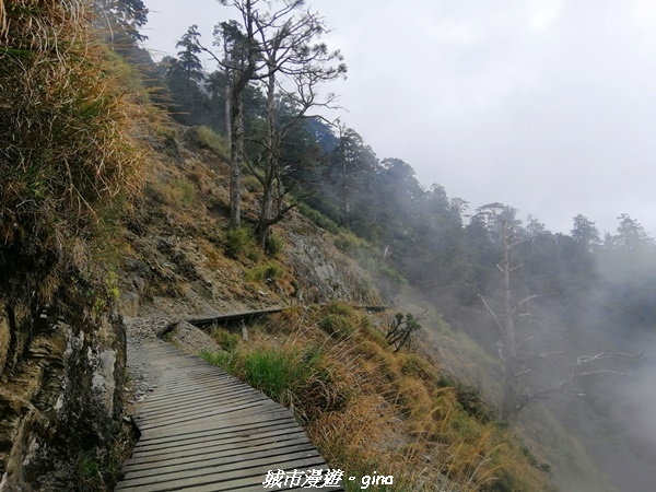 IMG_20210420_141804.jpg IMG_20210420_141804.jpg