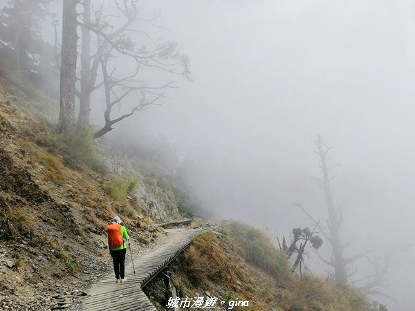 IMG_20210420_141928.jpg IMG_20210420_141928.jpg