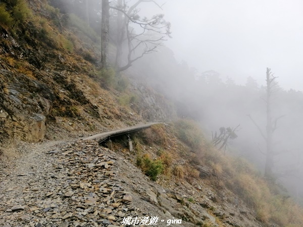 IMG_20210420_141830.jpg IMG_20210420_141830.jpg