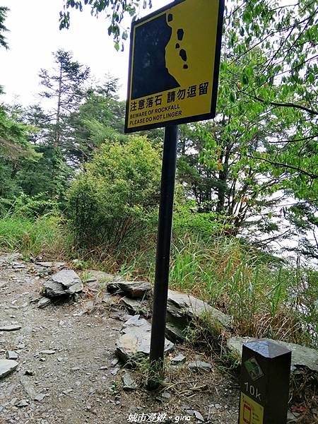 IMG_20210420_141313.jpg IMG_20210420_141313.jpg