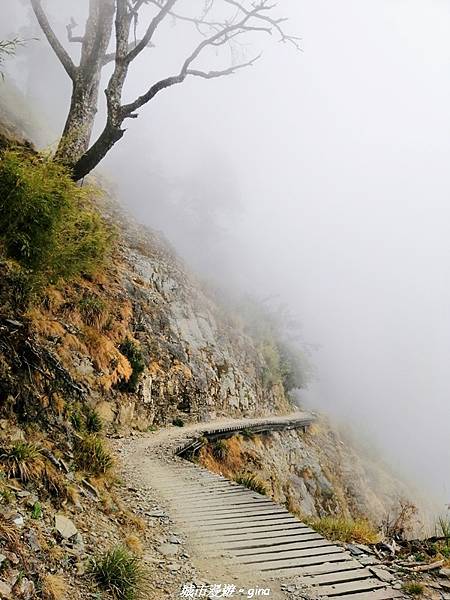 IMG_20210420_142031.jpg IMG_20210420_142031.jpg