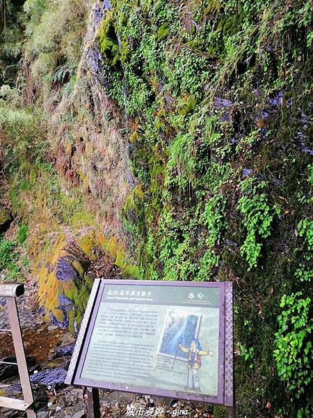 IMG_20210420_143144.jpg IMG_20210420_143144.jpg