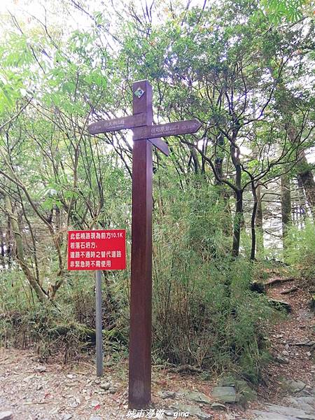 IMG_20210420_142629.jpg IMG_20210420_142629.jpg