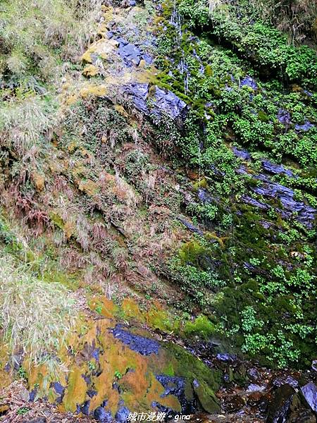 IMG_20210420_143052.jpg IMG_20210420_143052.jpg