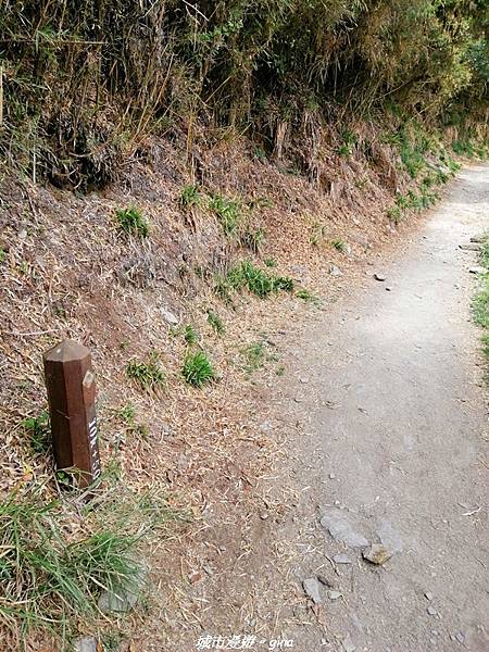 IMG_20210420_142951.jpg IMG_20210420_142951.jpg