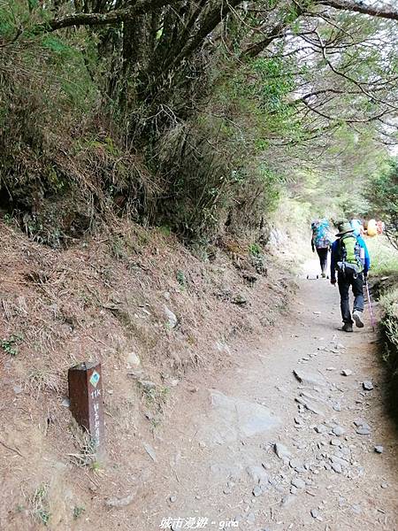 IMG_20210420_144124.jpg IMG_20210420_144124.jpg