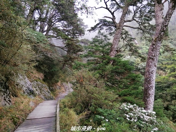 IMG_20210420_145752.jpg IMG_20210420_145752.jpg