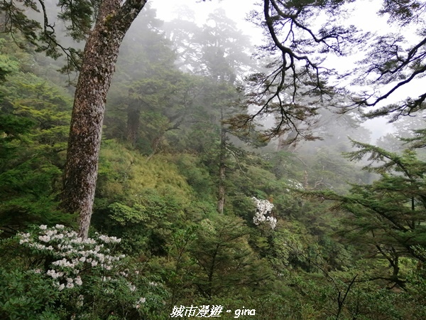 IMG_20210420_145807.jpg IMG_20210420_145807.jpg