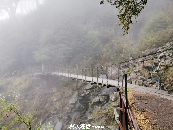 IMG_20210420_151934.jpg IMG_20210420_151934.jpg