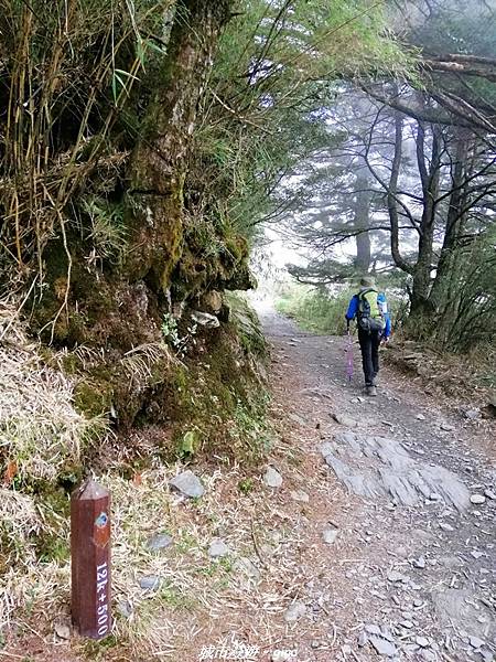 IMG_20210420_152033.jpg IMG_20210420_152033.jpg