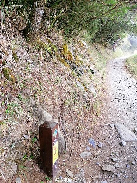 IMG_20210420_150544.jpg IMG_20210420_150544.jpg