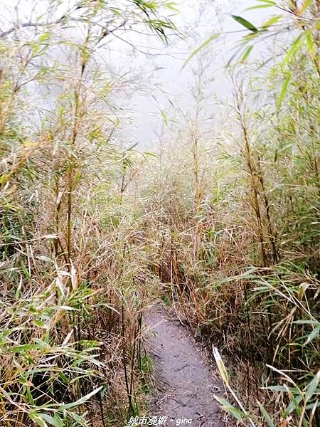 IMG_20210420_153325.jpg IMG_20210420_153325.jpg