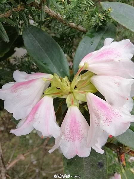 IMG_20210420_154930.jpg IMG_20210420_154930.jpg