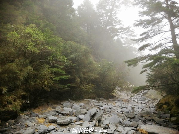 IMG_20210420_154517.jpg IMG_20210420_154517.jpg