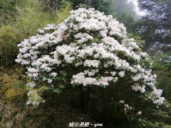 IMG_20210420_155056.jpg IMG_20210420_155056.jpg