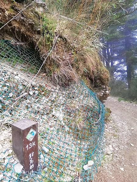 IMG_20210420_155716.jpg IMG_20210420_155716.jpg