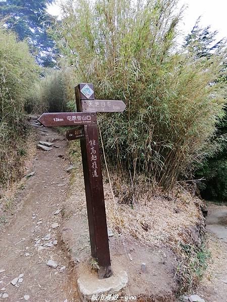 IMG_20210420_155816.jpg IMG_20210420_155816.jpg