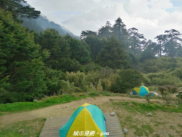 IMG_20210420_163230.jpg IMG_20210420_163230.jpg