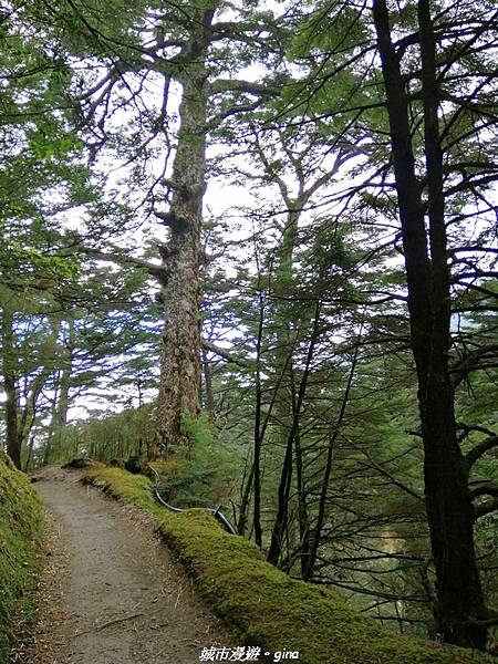 IMG_20210420_164301.jpg IMG_20210420_164301.jpg