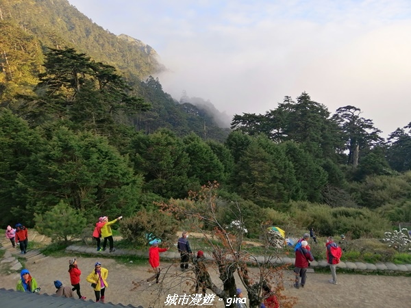 IMG_20210420_174934.jpg IMG_20210420_174934.jpg