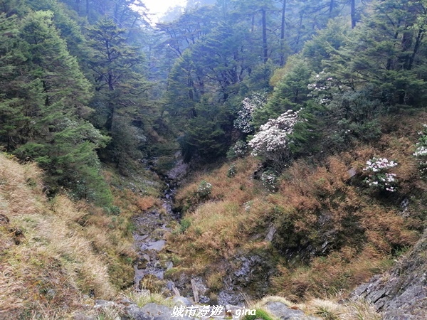 IMG_20210420_163943.jpg IMG_20210420_163943.jpg