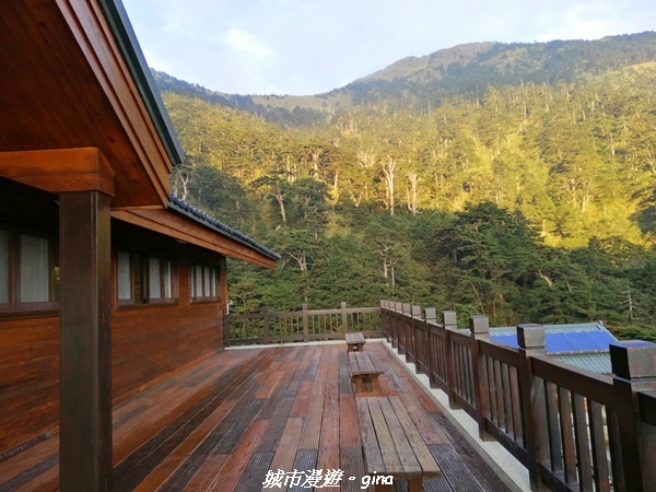 IMG_20210420_174948.jpg IMG_20210420_174948.jpg