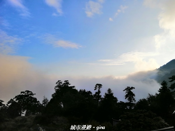 IMG_20210420_174940.jpg IMG_20210420_174940.jpg