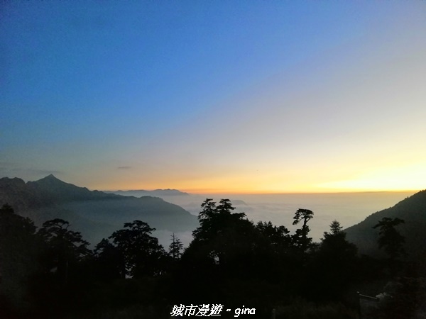 IMG_20210420_183703.jpg IMG_20210420_183703.jpg