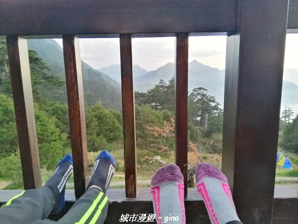 IMG_20210420_182254.jpg IMG_20210420_182254.jpg