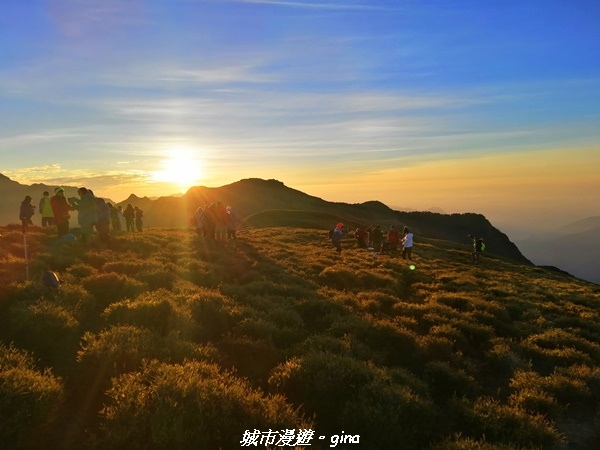 【南投仁愛】傳說中的黃金大草原我終於來了。 天池山莊~No4