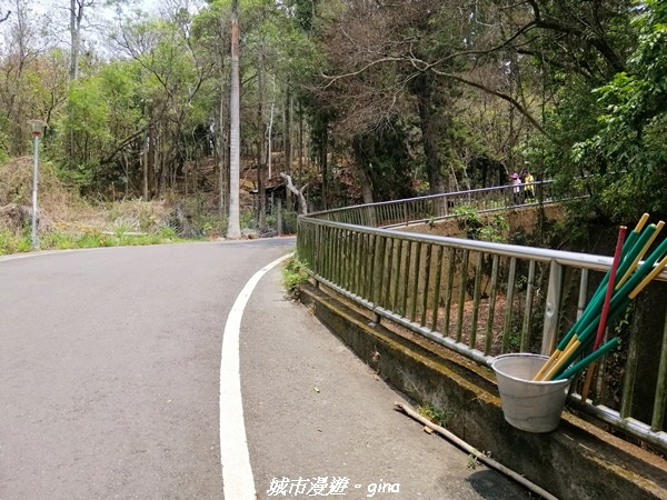 【南投草屯】蜿蜒步道很親民。 中興新村虎山步道