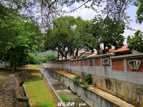 【南投草屯】中興新村椰林大道。 荷花迎風搖曳