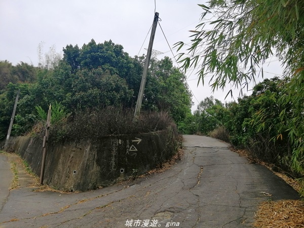 【台中霧峰】散步小百岳。 No46小百岳~阿罩霧山