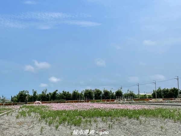 IMG_20210508_102330.jpg IMG_20210508_102330.jpg