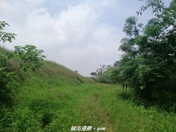 IMG_20210508_102647.jpg IMG_20210508_102647.jpg