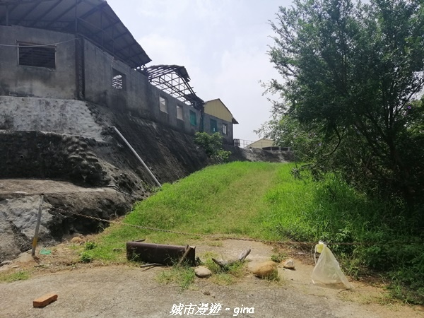 IMG_20210508_102344.jpg IMG_20210508_102344.jpg