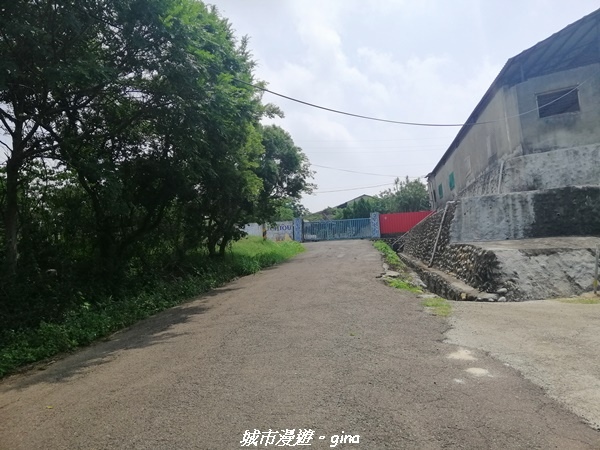 IMG_20210508_102336.jpg IMG_20210508_102336.jpg