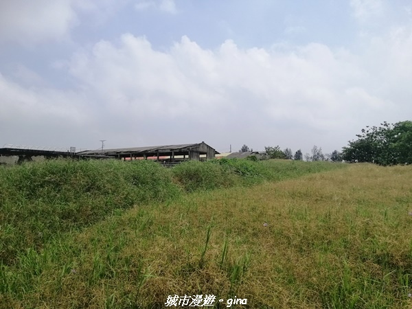 IMG_20210508_102733.jpg IMG_20210508_102733.jpg