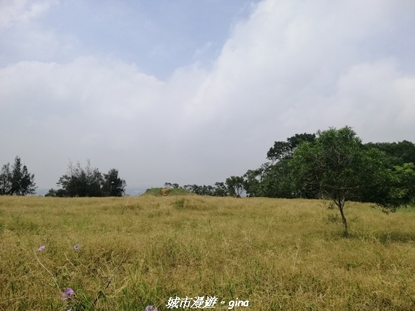 IMG_20210508_102838.jpg IMG_20210508_102838.jpg