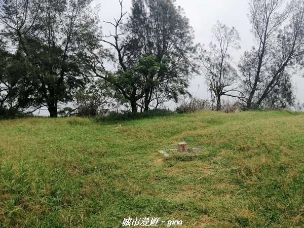 IMG_20210508_103241.jpg IMG_20210508_103241.jpg