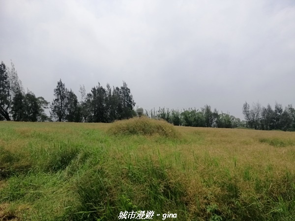 IMG_20210508_103218.jpg IMG_20210508_103218.jpg