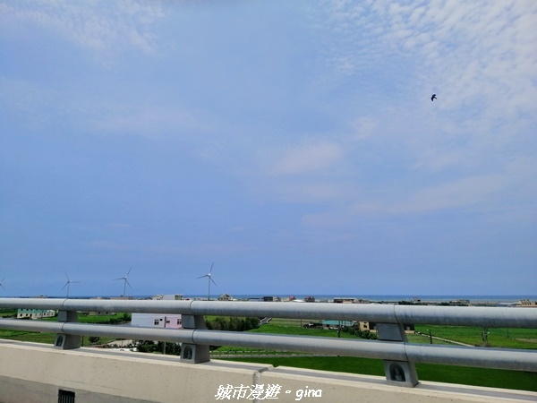 IMG_20210508_113644.jpg IMG_20210508_113644.jpg