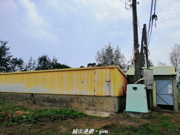 IMG_20210508_104341.jpg IMG_20210508_104341.jpg