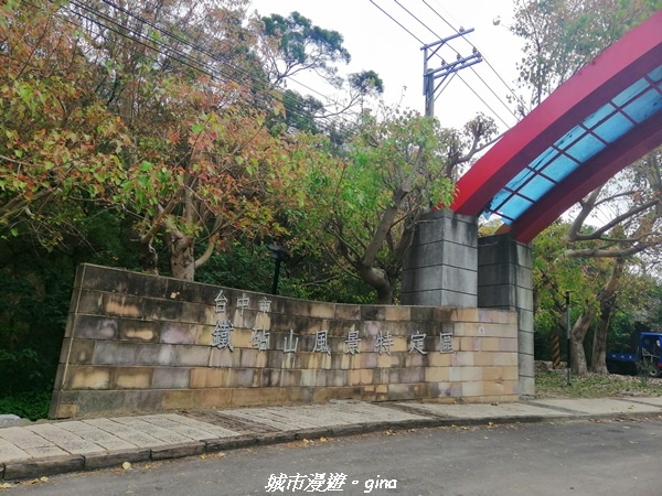 IMG_20210508_111644.jpg IMG_20210508_111644.jpg