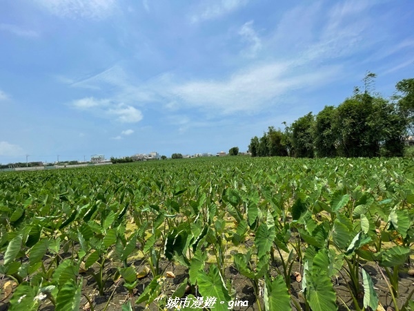 line_667782227421012.jpg line_667782227421012.jpg