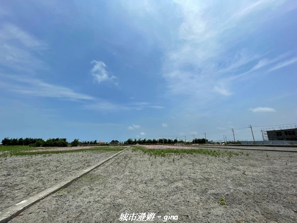 line_667785142586116.jpg line_667785142586116.jpg