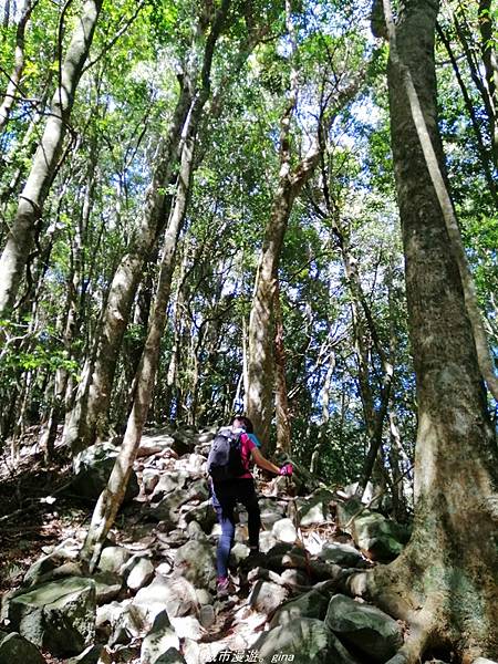 IMG_20210430_210422.jpg IMG_20210430_210422.jpg