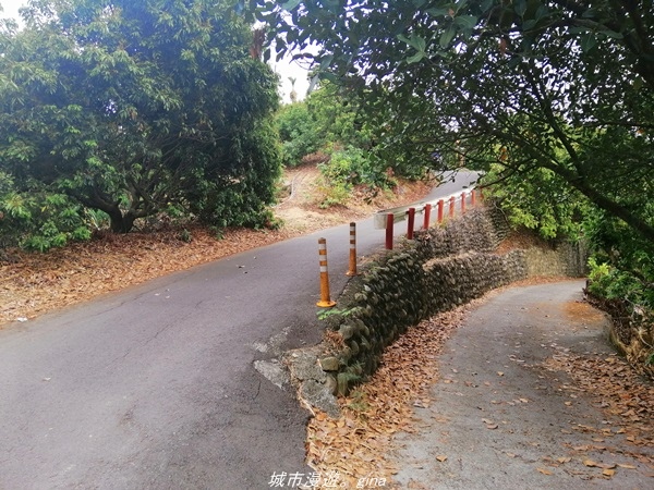 IMG_20210501_143329.jpg IMG_20210501_143329.jpg