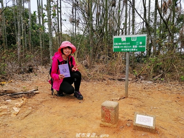 IMG_20210501_130642.jpg IMG_20210501_130642.jpg