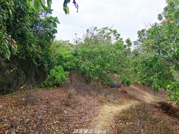 IMG_20210501_152247.jpg IMG_20210501_152247.jpg